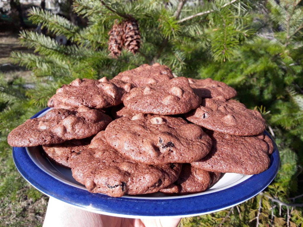 dried fruit chocolate chips coco powder pine tree cones